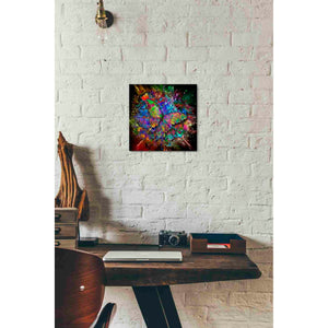 'Monarch' Canvas Wall Art,12x12
