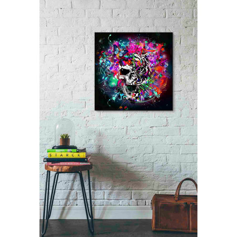 Image of 'Escape' Canvas Wall Art,26x26