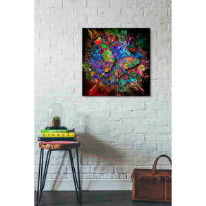 'Monarch' Canvas Wall Art,26x26