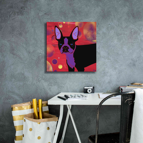 Image of 'Bubbly Boston' by Angela Bond Giclee Canvas Wall Art,18x18