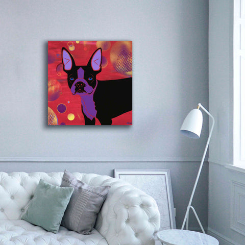 Image of 'Bubbly Boston' by Angela Bond Giclee Canvas Wall Art,37x37