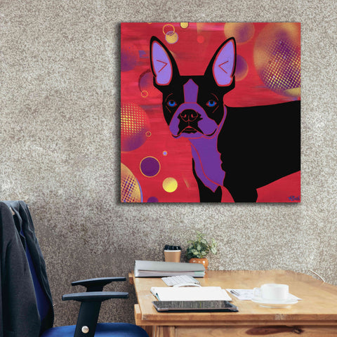 Image of 'Bubbly Boston' by Angela Bond Giclee Canvas Wall Art,37x37