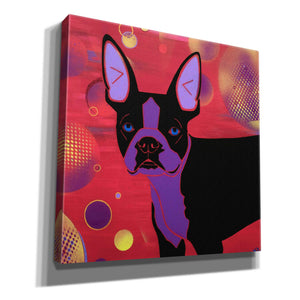 'Bubbly Boston' by Angela Bond Giclee Canvas Wall Art