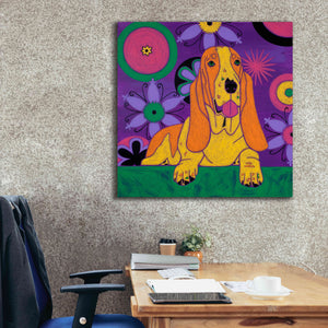 'Hush Puppeh' by Angela Bond Giclee Canvas Wall Art,37x37