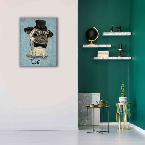 Image of 'Gentle Pug' by Barruf Giclee Canvas Wall Art,26x34
