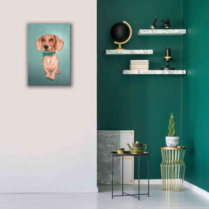 'The Wiener Dog' by Barruf Giclee Canvas Wall Art,18x26
