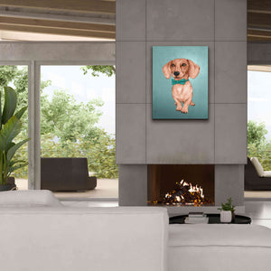 'The Wiener Dog' by Barruf Giclee Canvas Wall Art,26x34