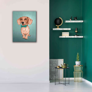 'The Wiener Dog' by Barruf Giclee Canvas Wall Art,26x34