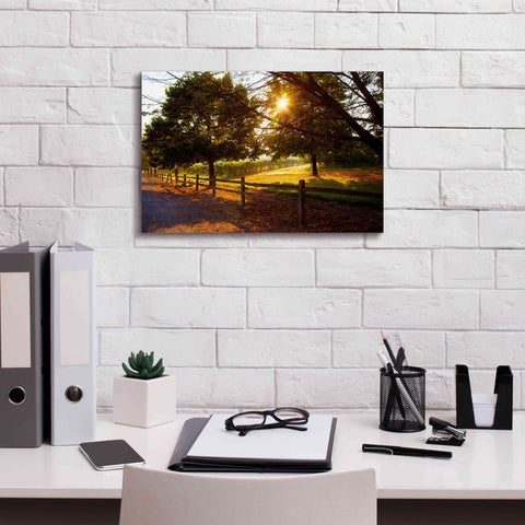 Image of 'Dreamland Vineyard' by Michael Broom Giclee Canvas Wall Art,18x12