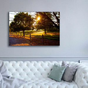 'Dreamland Vineyard' by Michael Broom Giclee Canvas Wall Art,60x40