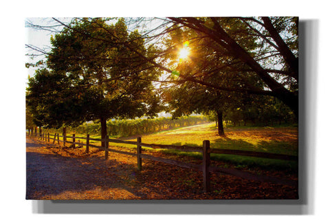 Image of 'Dreamland Vineyard' by Michael Broom Giclee Canvas Wall Art