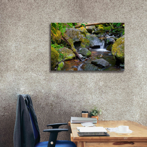 Image of 'Mossy Stream' by Michael Broom Giclee Canvas Wall Art,40x26