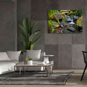 'Mossy Stream' by Michael Broom Giclee Canvas Wall Art,60x40