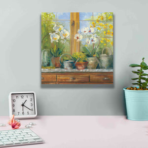 'Gardeners Table Orchids' by Carol Rowan, Giclee Canvas Wall Art,12x12