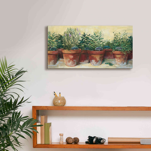Image of 'Potted Herbs I' by Carol Rowan, Giclee Canvas Wall Art,24x12