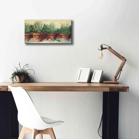 Image of 'Potted Herbs I' by Carol Rowan, Giclee Canvas Wall Art,24x12