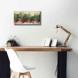 'Potted Herbs I' by Carol Rowan, Giclee Canvas Wall Art,24x12