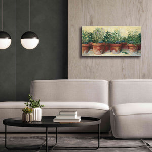 'Potted Herbs I' by Carol Rowan, Giclee Canvas Wall Art,40x20
