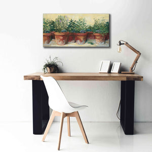 'Potted Herbs I' by Carol Rowan, Giclee Canvas Wall Art,40x20