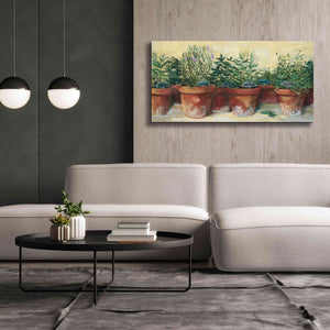 'Potted Herbs I' by Carol Rowan, Giclee Canvas Wall Art,60x30