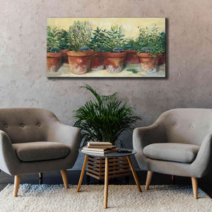 'Potted Herbs I' by Carol Rowan, Giclee Canvas Wall Art,60x30