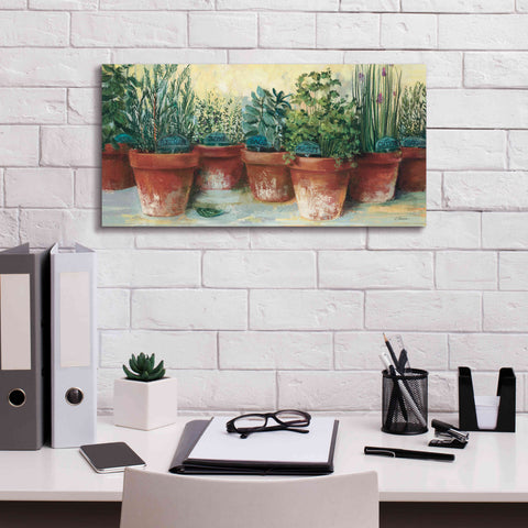 Image of 'Potted Herbs II' by Carol Rowan, Giclee Canvas Wall Art,24x12