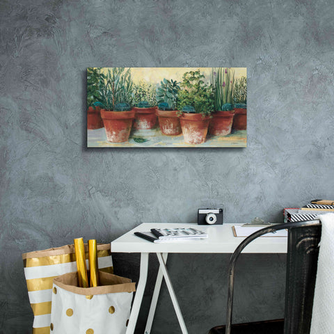 Image of 'Potted Herbs II' by Carol Rowan, Giclee Canvas Wall Art,24x12