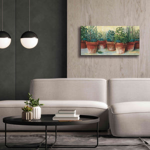 'Potted Herbs II' by Carol Rowan, Giclee Canvas Wall Art,40x20