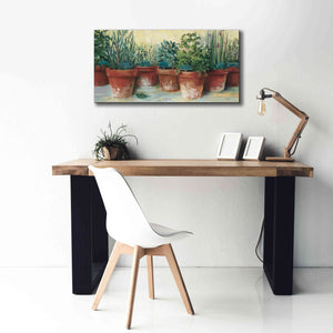 'Potted Herbs II' by Carol Rowan, Giclee Canvas Wall Art,40x20