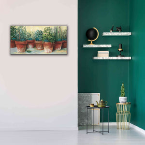 'Potted Herbs II' by Carol Rowan, Giclee Canvas Wall Art,40x20