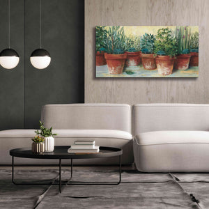 'Potted Herbs II' by Carol Rowan, Giclee Canvas Wall Art,60x30