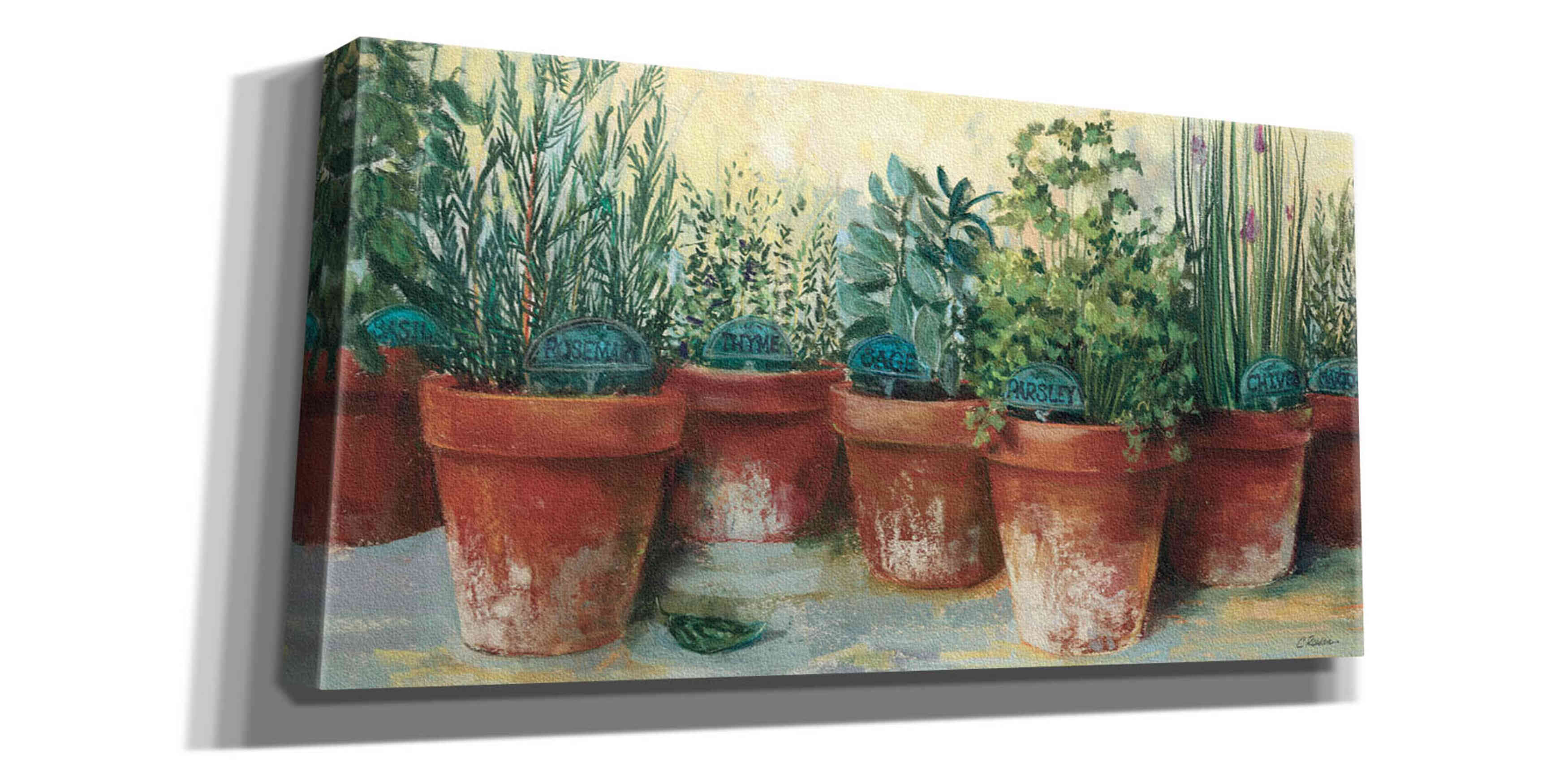'Potted Herbs II' by Carol Rowan, Giclee Canvas Wall Art