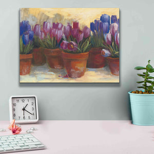 'Spring Crocus' by Carol Rowan, Giclee Canvas Wall Art,16x12