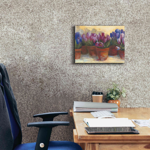 Image of 'Spring Crocus' by Carol Rowan, Giclee Canvas Wall Art,16x12