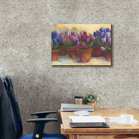Image of 'Spring Crocus' by Carol Rowan, Giclee Canvas Wall Art,26x18