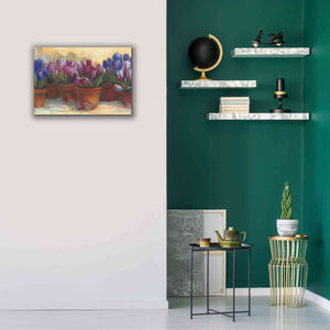 'Spring Crocus' by Carol Rowan, Giclee Canvas Wall Art,26x18