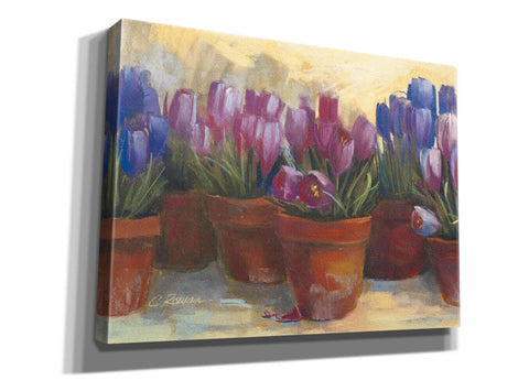 Image of 'Spring Crocus' by Carol Rowan, Giclee Canvas Wall Art