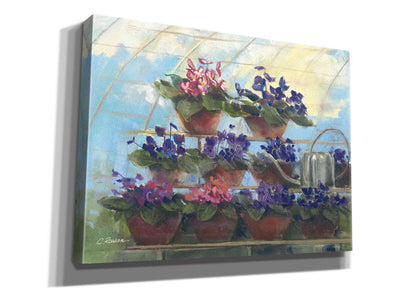 'Violets' by Carol Rowan, Giclee Canvas Wall Art