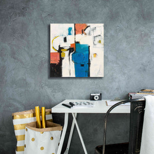 'Catalina II' by Mike Schick, Giclee Canvas Wall Art,18x18