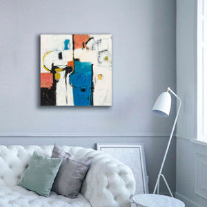 'Catalina II' by Mike Schick, Giclee Canvas Wall Art,37x37