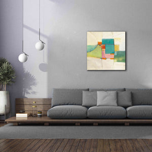 'Aero' by Mike Schick, Giclee Canvas Wall Art,37x37