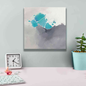 'Last Light' by Mike Schick, Giclee Canvas Wall Art,12x12