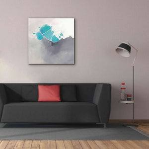 'Last Light' by Mike Schick, Giclee Canvas Wall Art,37x37