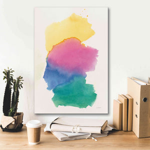 'Colorburst II' by Mike Schick, Giclee Canvas Wall Art,18x26