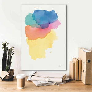 'Aurora' by Mike Schick, Giclee Canvas Wall Art,18x26
