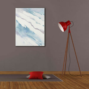 'Drift' by Mike Schick, Giclee Canvas Wall Art,26x34