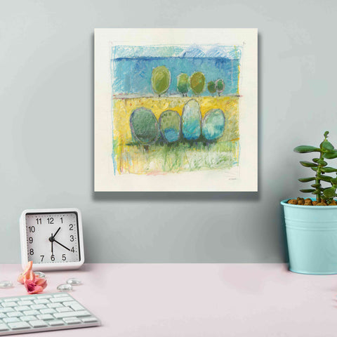 Image of 'Morning Grove' by Mike Schick, Giclee Canvas Wall Art,12x12