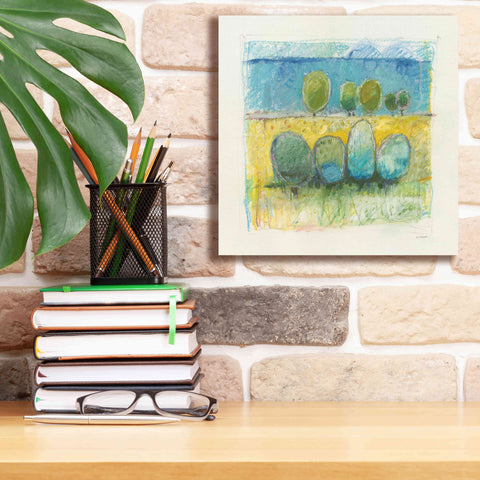 Image of 'Morning Grove' by Mike Schick, Giclee Canvas Wall Art,12x12