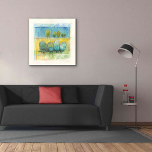 'Morning Grove' by Mike Schick, Giclee Canvas Wall Art,37x37