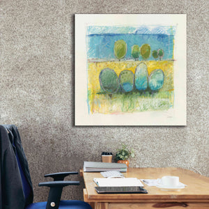 'Morning Grove' by Mike Schick, Giclee Canvas Wall Art,37x37